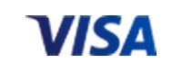 Visa at Winzter Casino